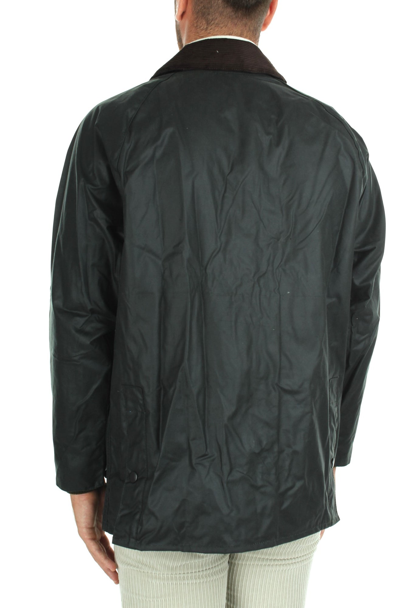 GIACCHE E GIUBBOTTI Verde Barbour