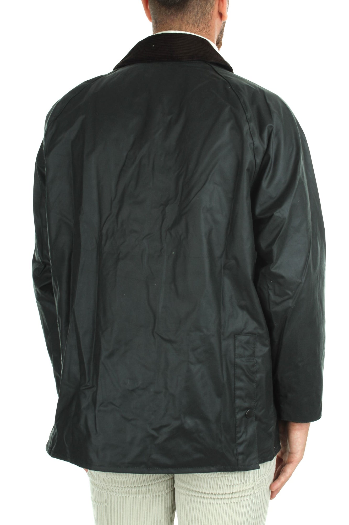 GIACCHE E GIUBBOTTI Verde Barbour