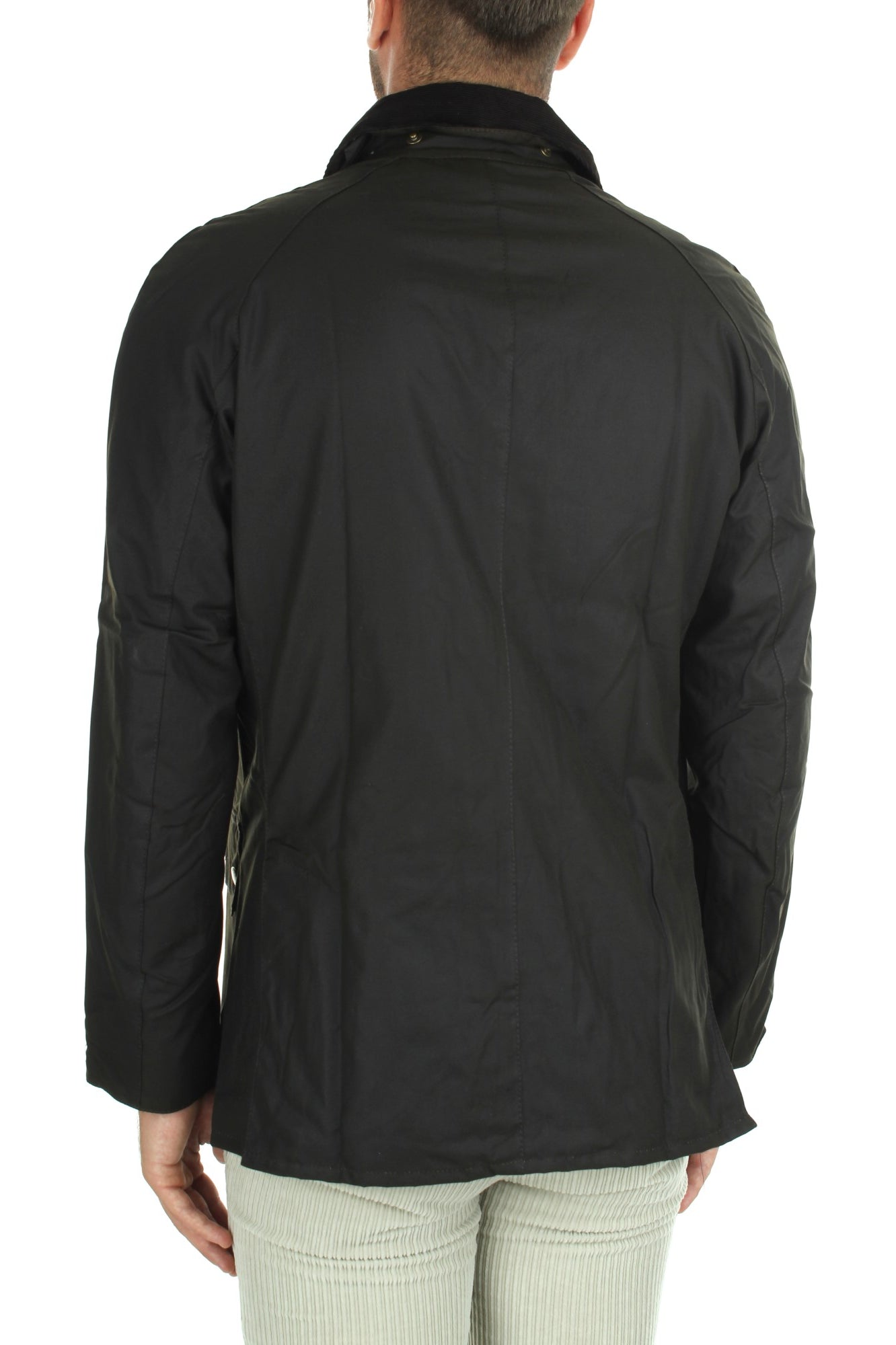 GIACCHE E GIUBBOTTI Verde Barbour