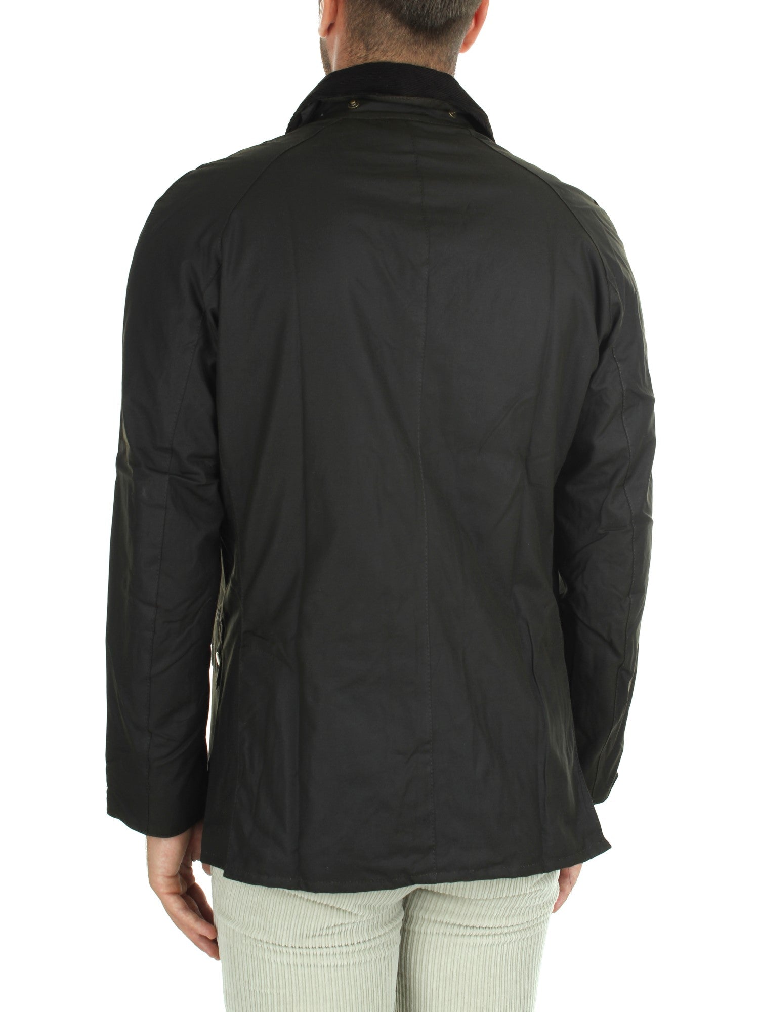 GIACCHE E GIUBBOTTI Verde Barbour