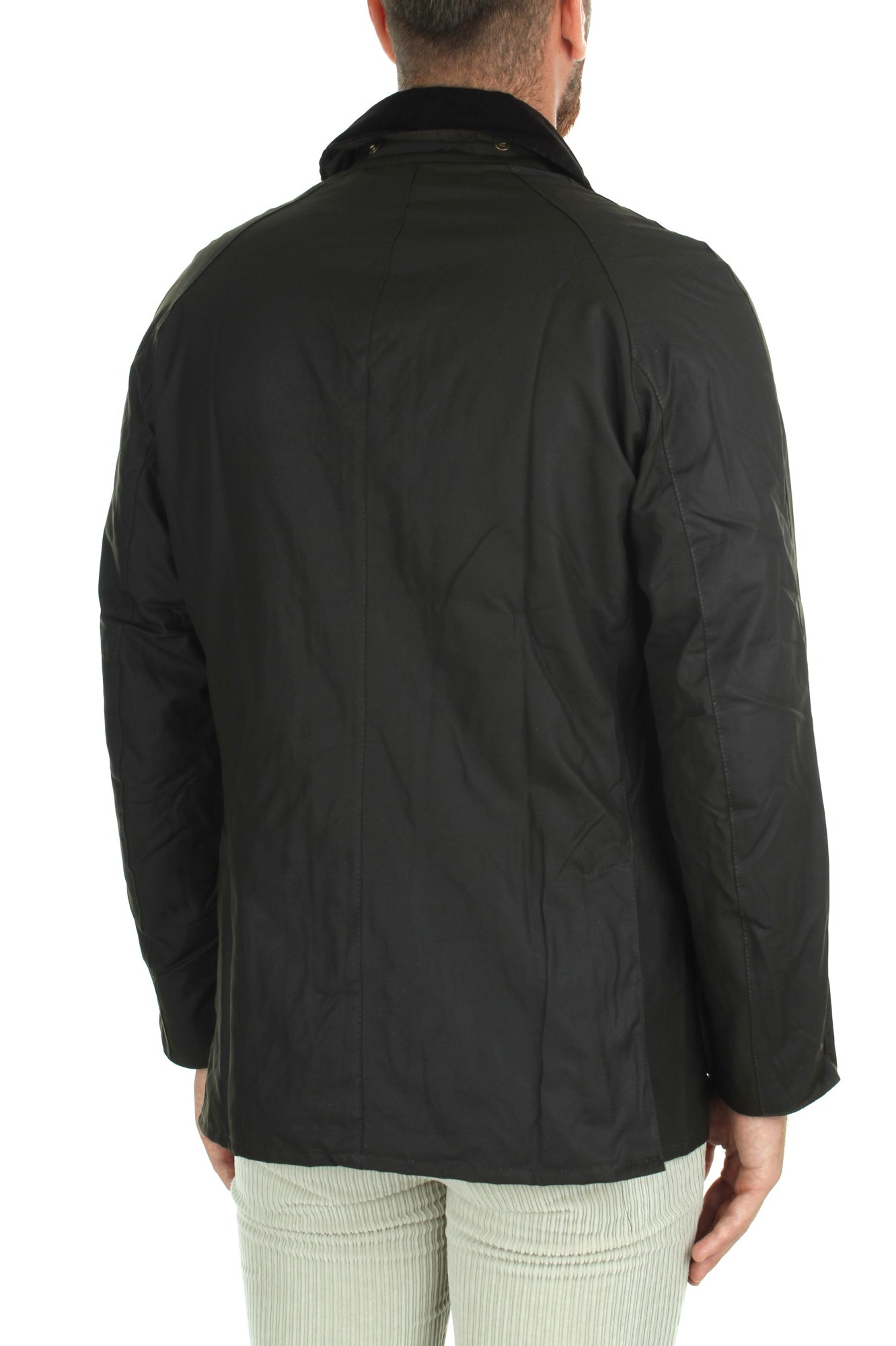 GIACCHE E GIUBBOTTI Verde Barbour