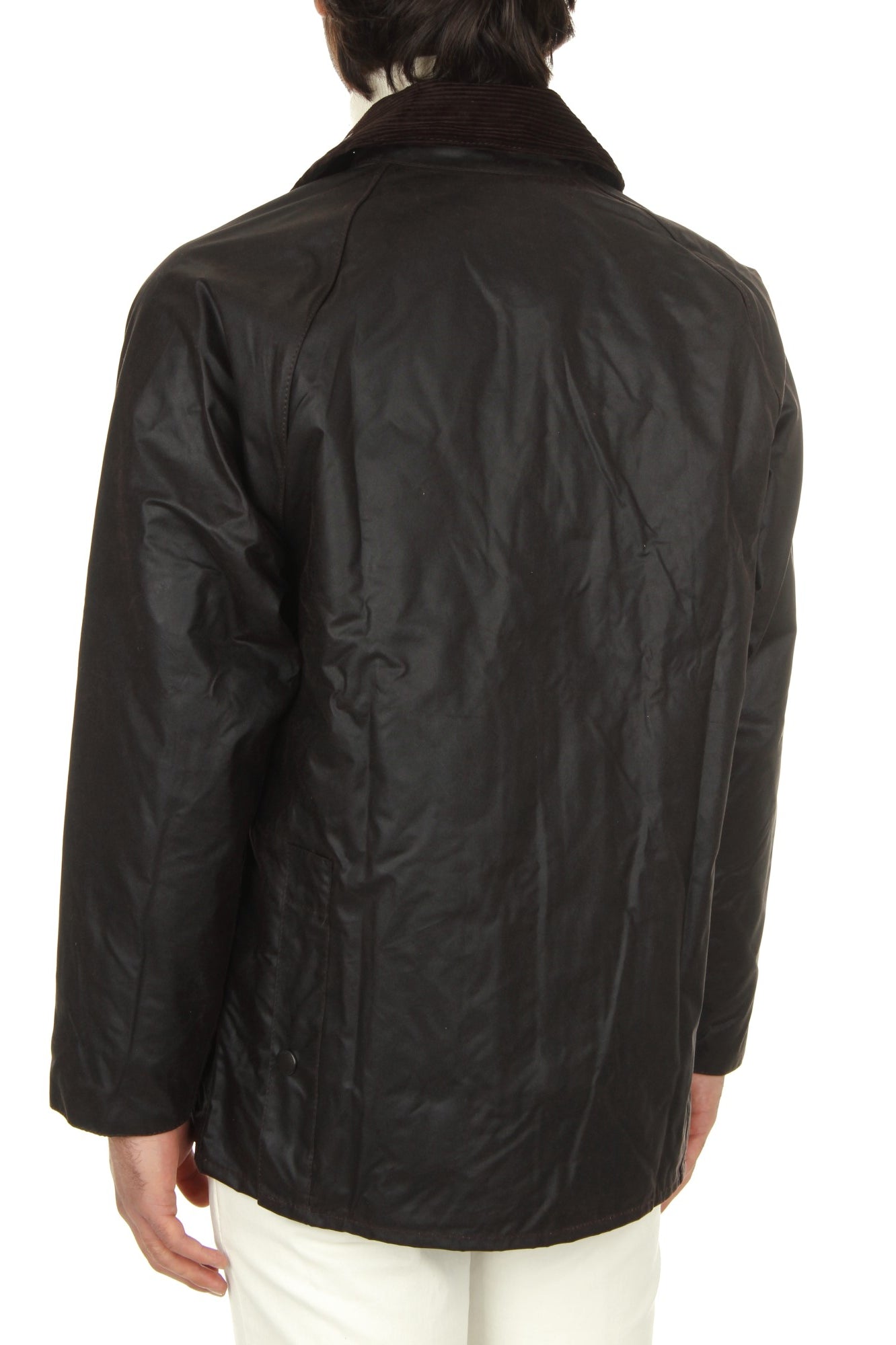 GIACCHE E GIUBBOTTI Marrone Barbour