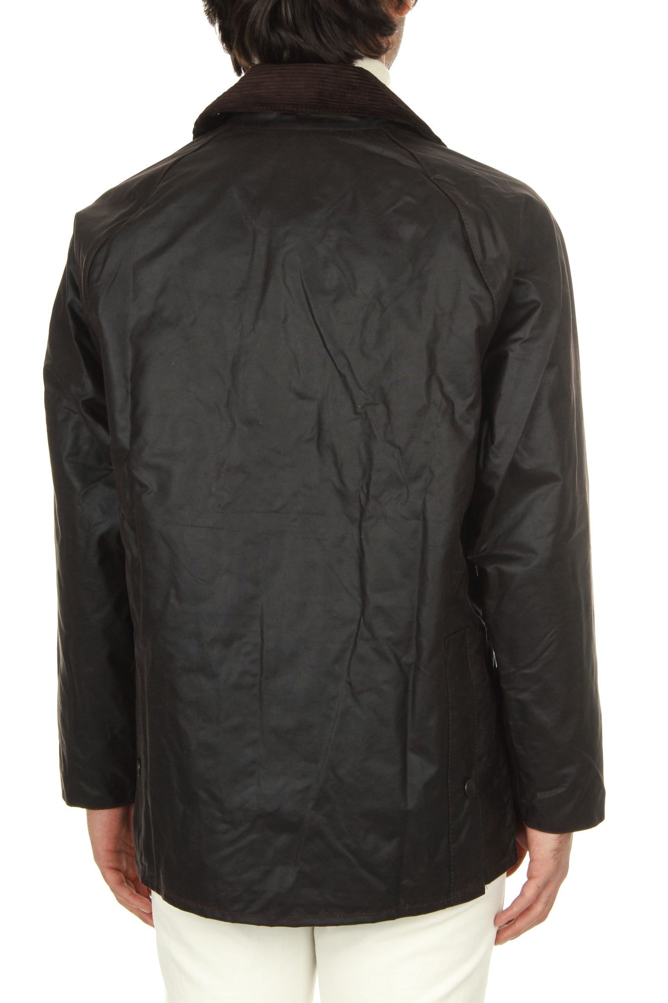 GIACCHE E GIUBBOTTI Marrone Barbour