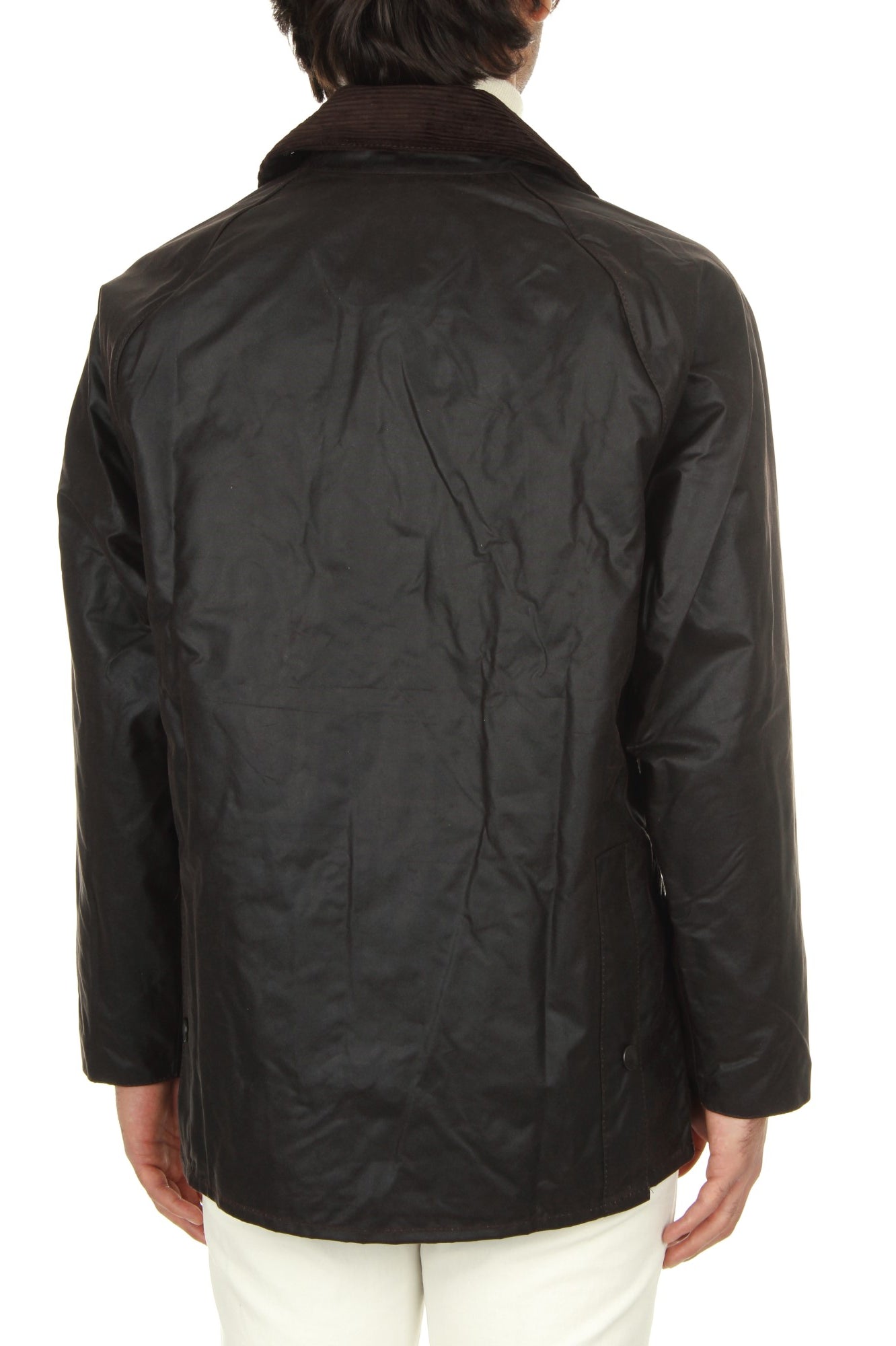 GIACCHE E GIUBBOTTI Marrone Barbour