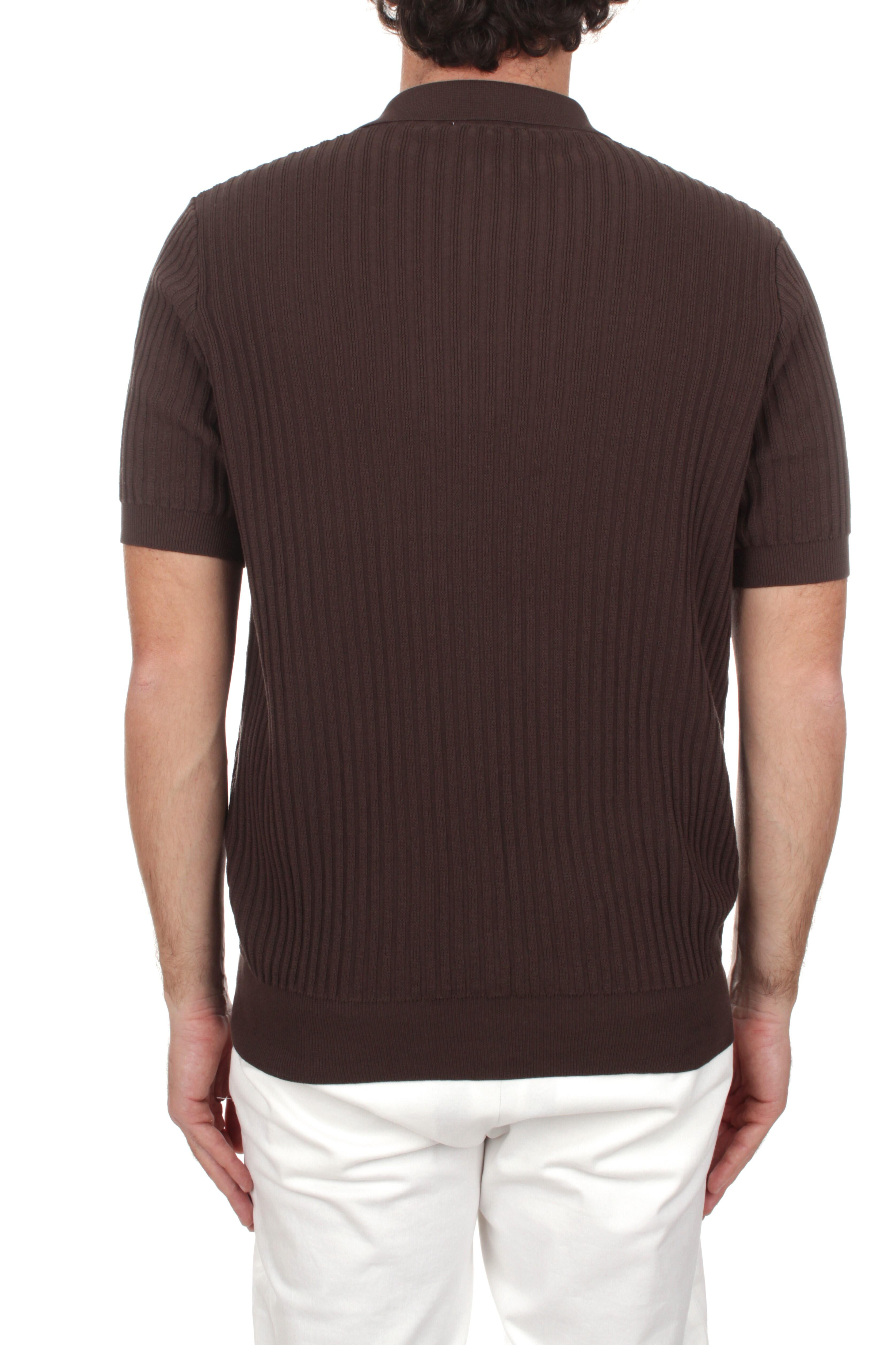 POLO Marrone Roberto Collina