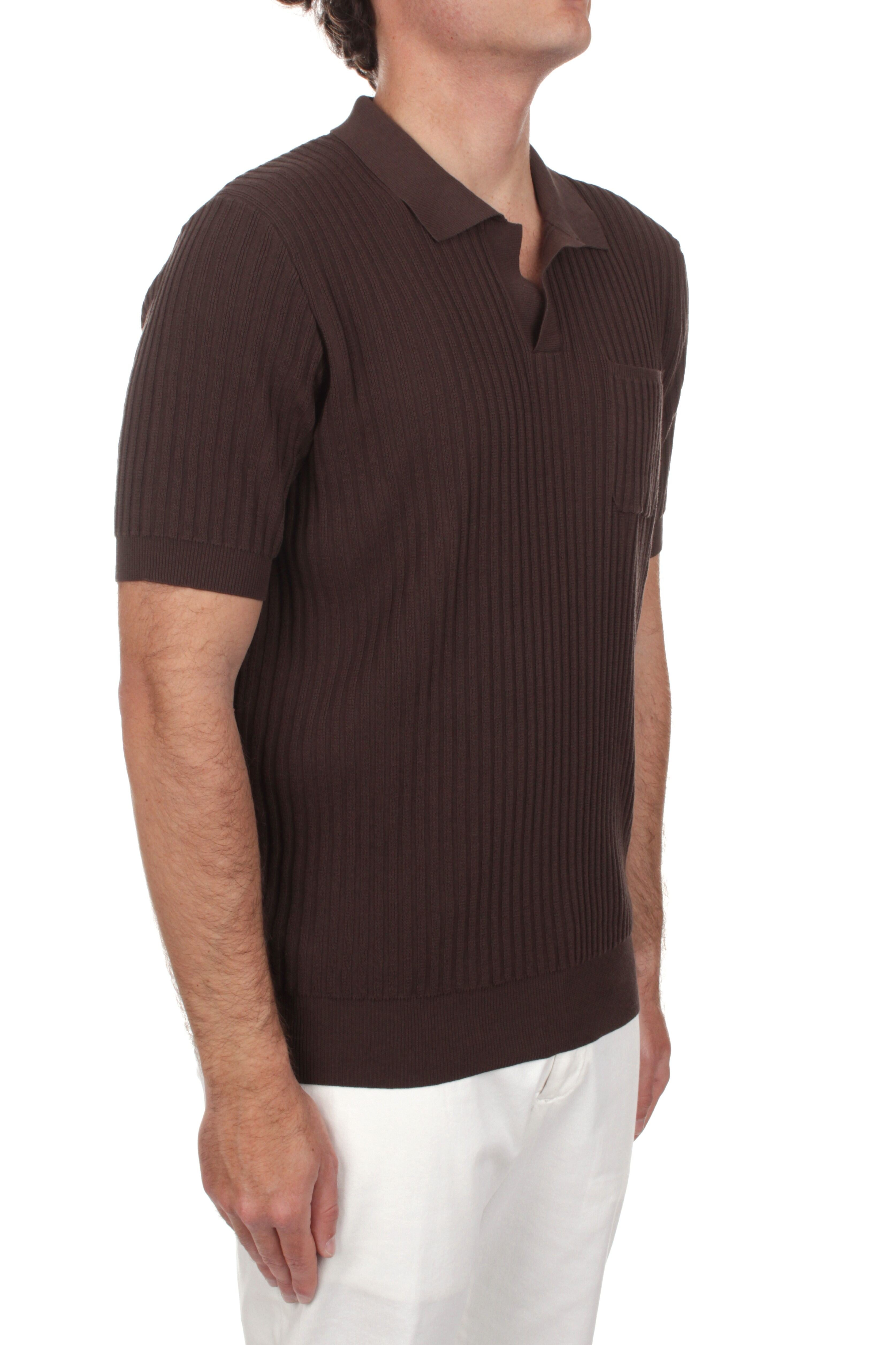 POLO Marrone Roberto Collina