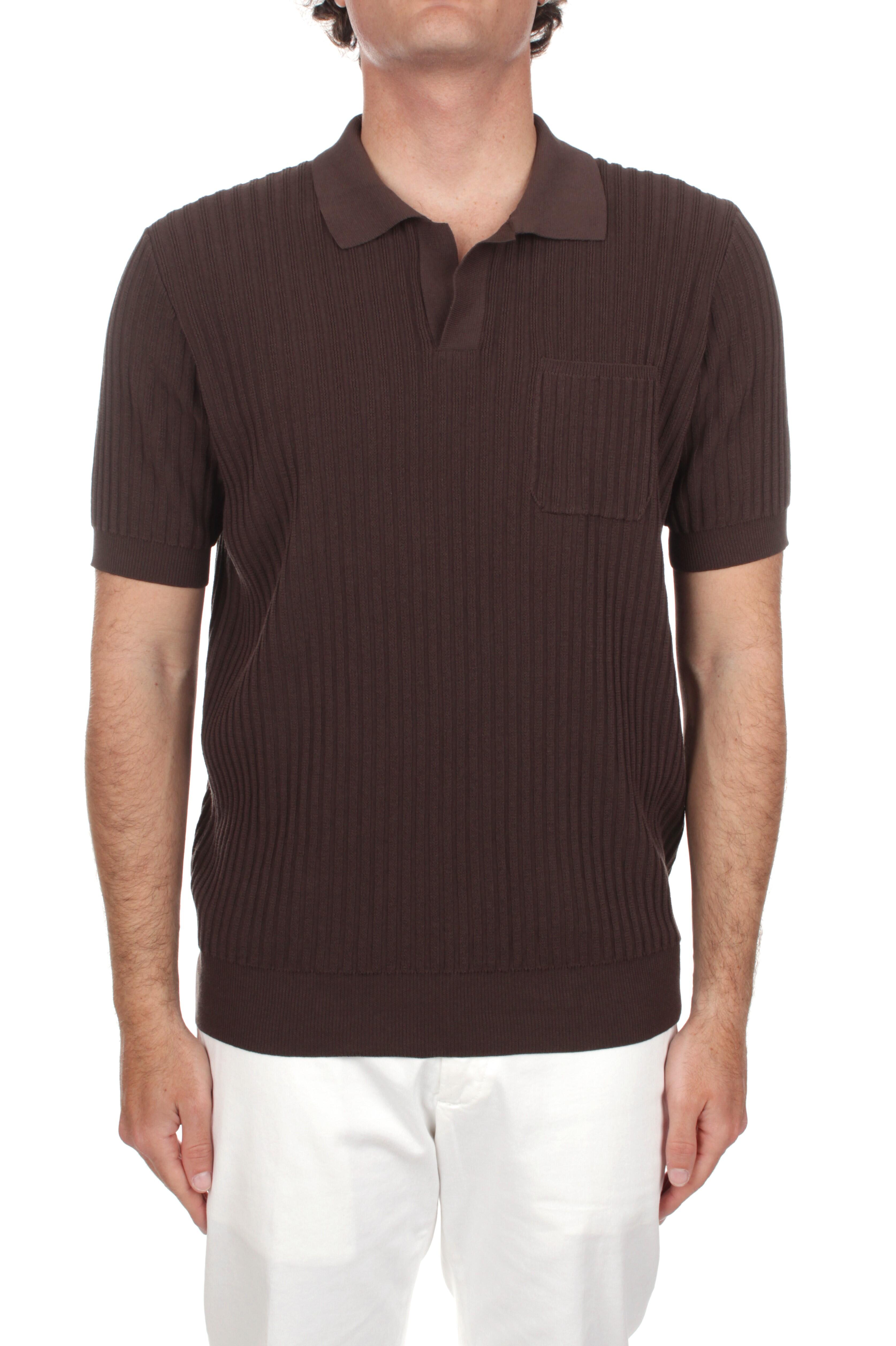 POLO Marrone Roberto Collina