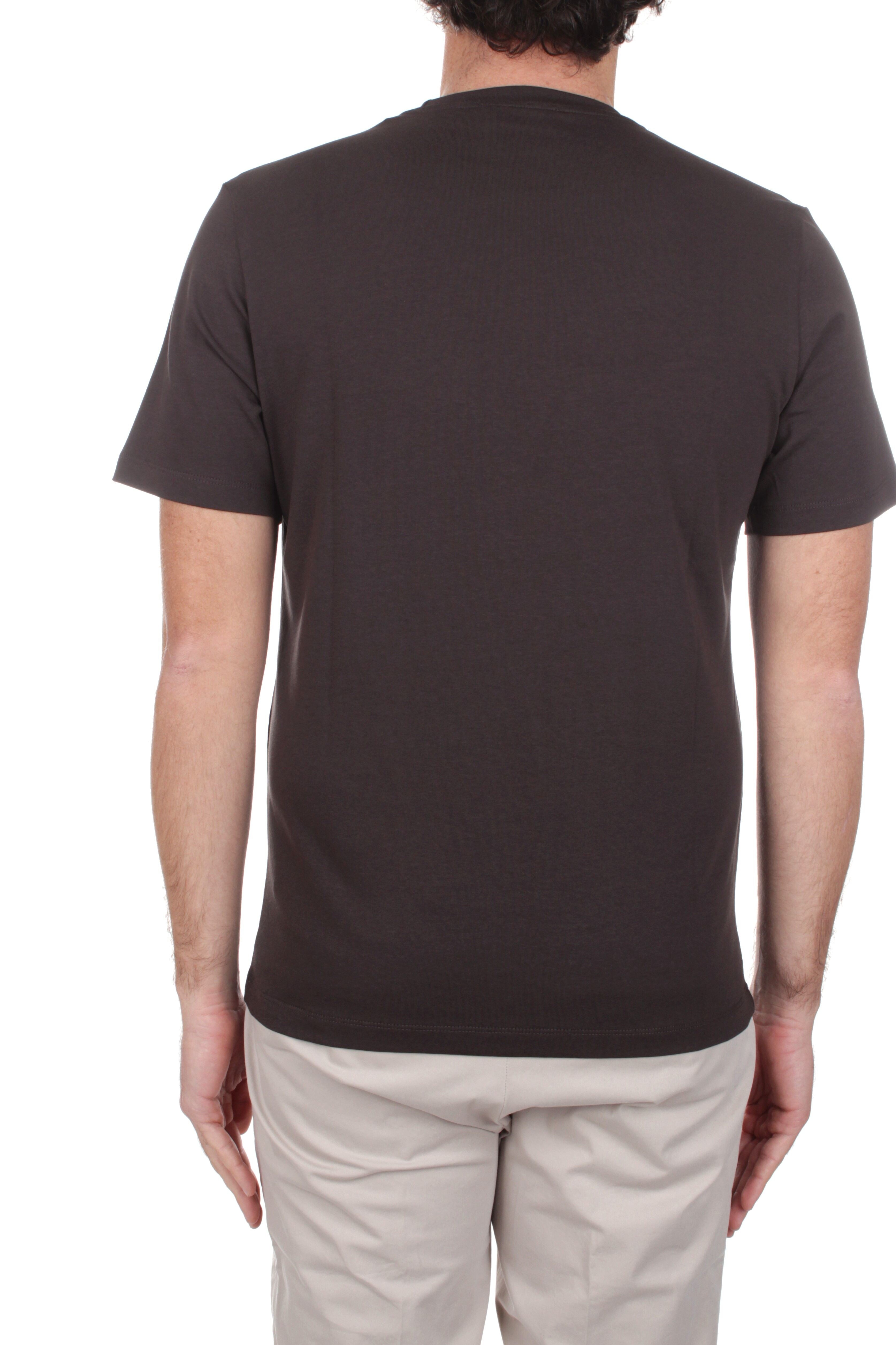 T-SHIRT Marrone Marotta