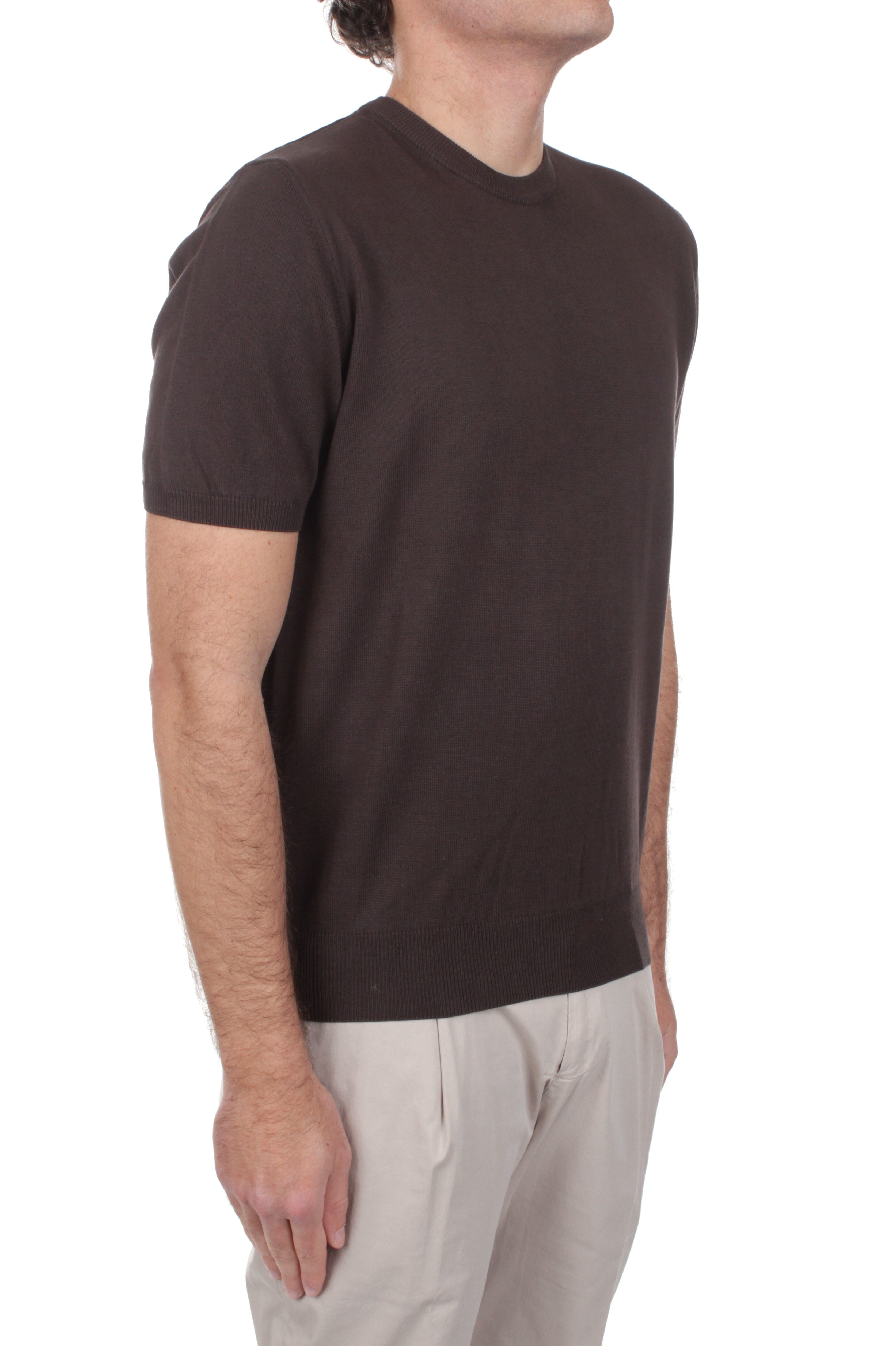 T-SHIRT Marrone Marotta