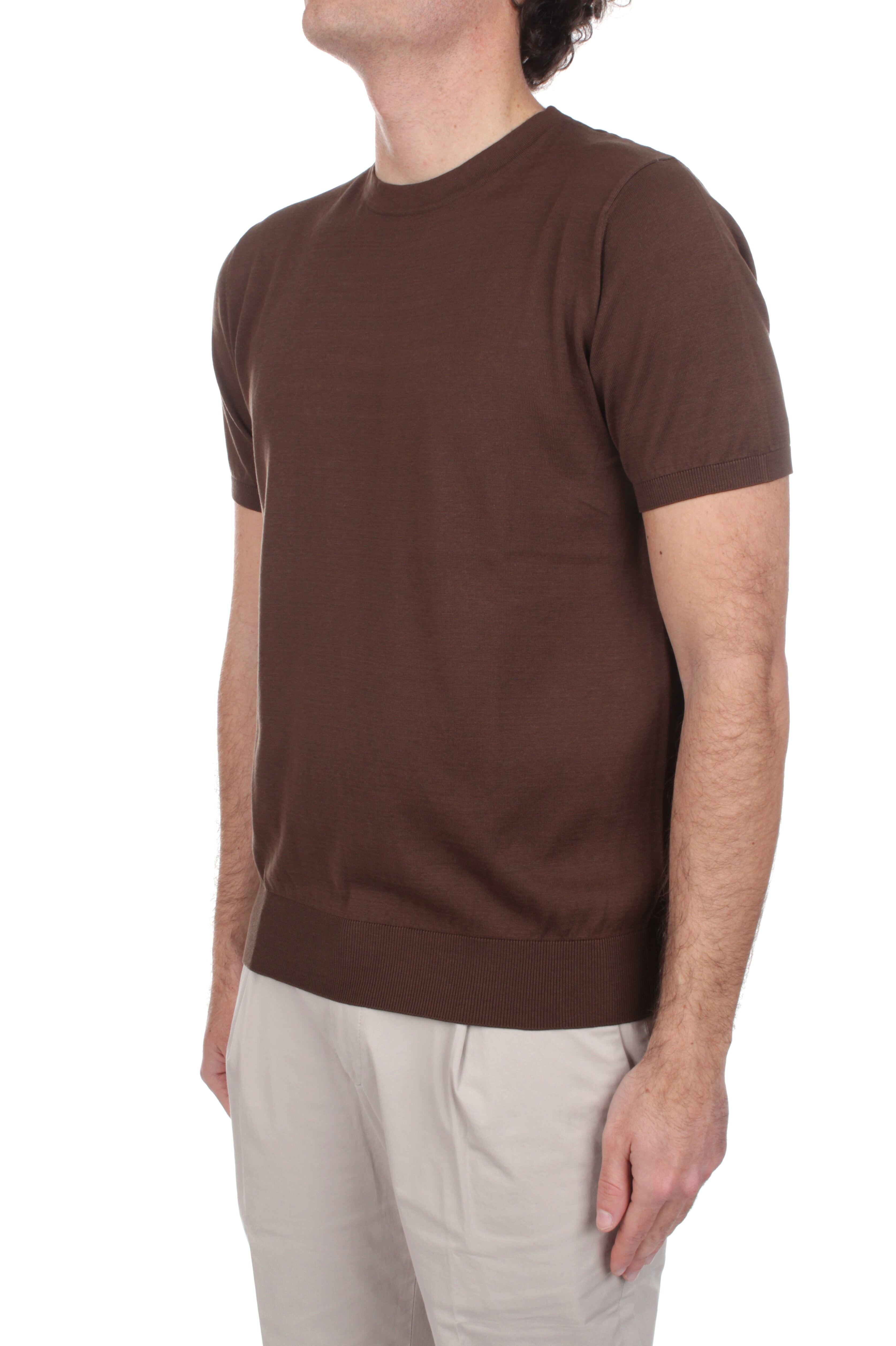 T-SHIRT Marrone Marotta