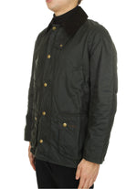 GIACCHE E GIUBBOTTI Verde Barbour