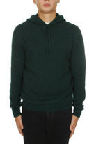 FELPE Verde Roberto Collina