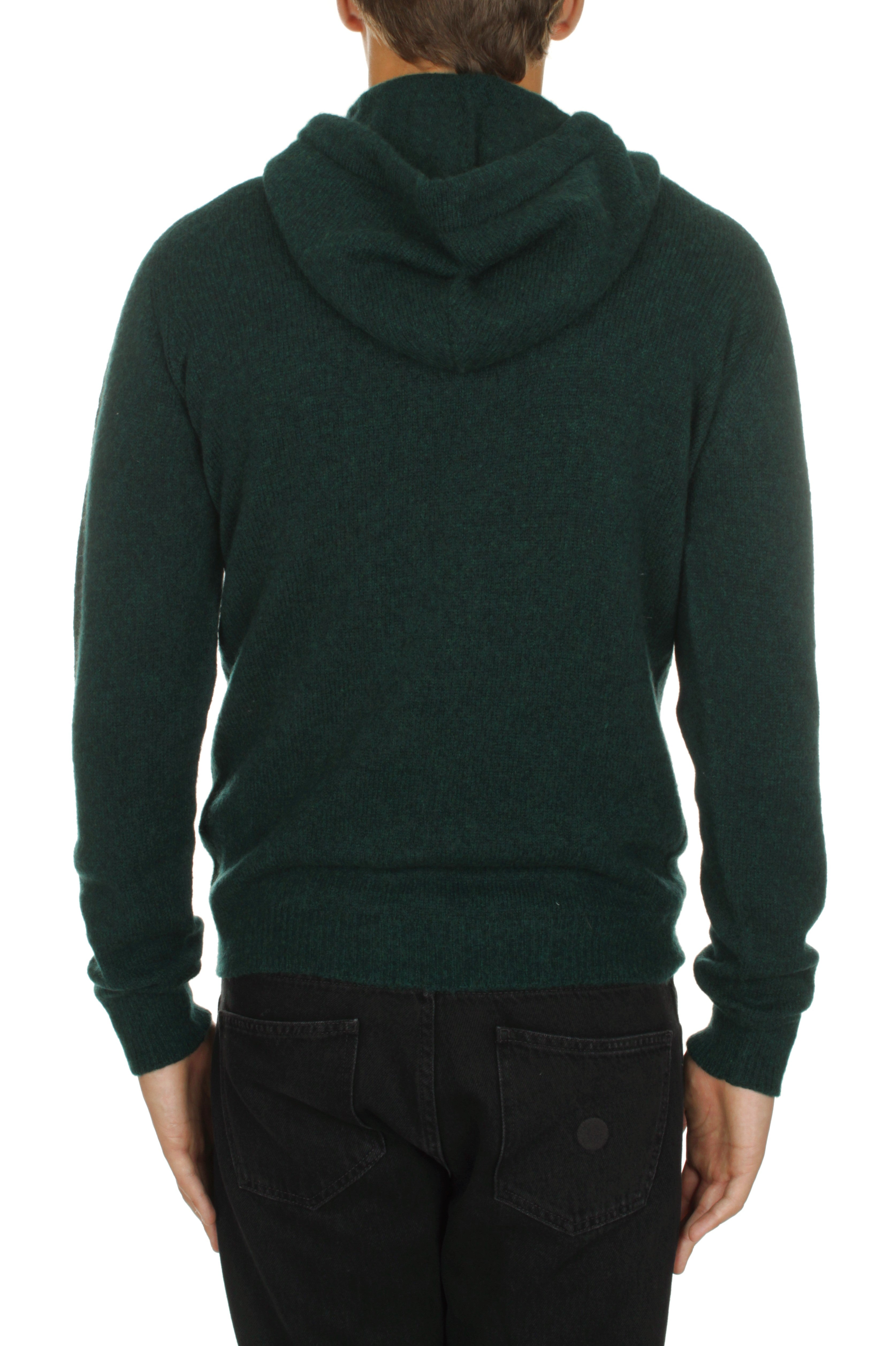 FELPE Verde Roberto Collina