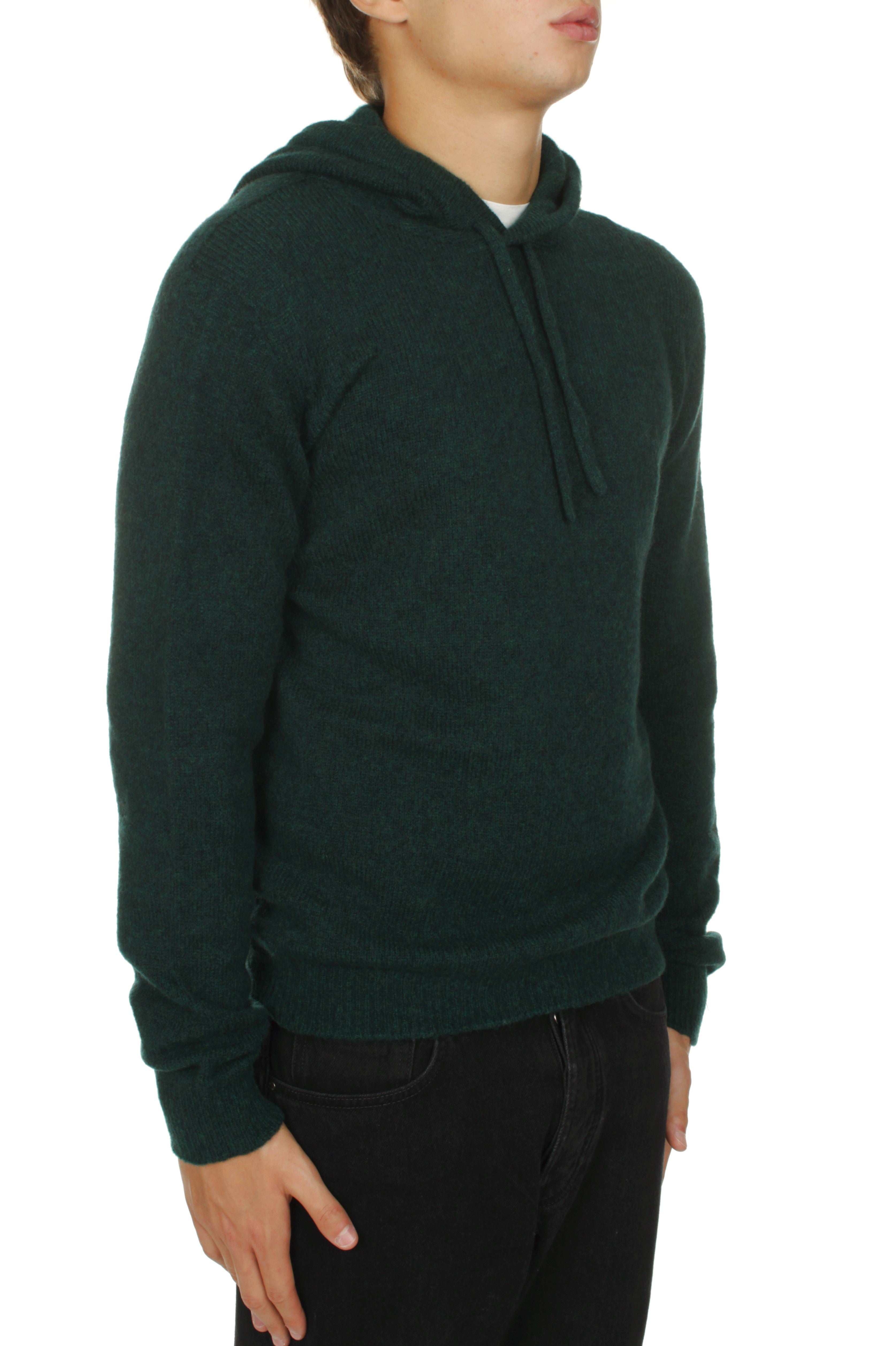 FELPE Verde Roberto Collina