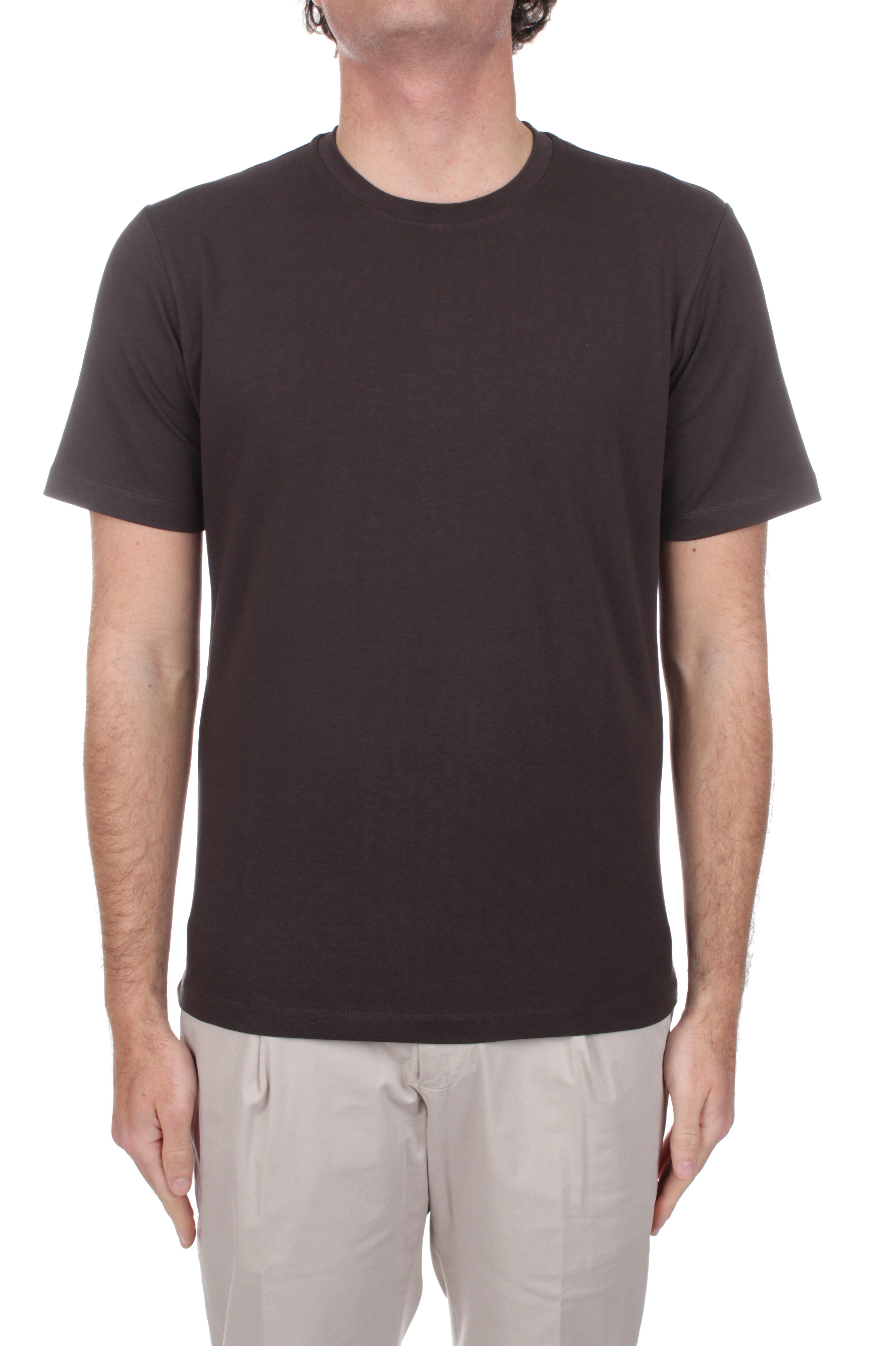 T-SHIRT Marrone Marotta