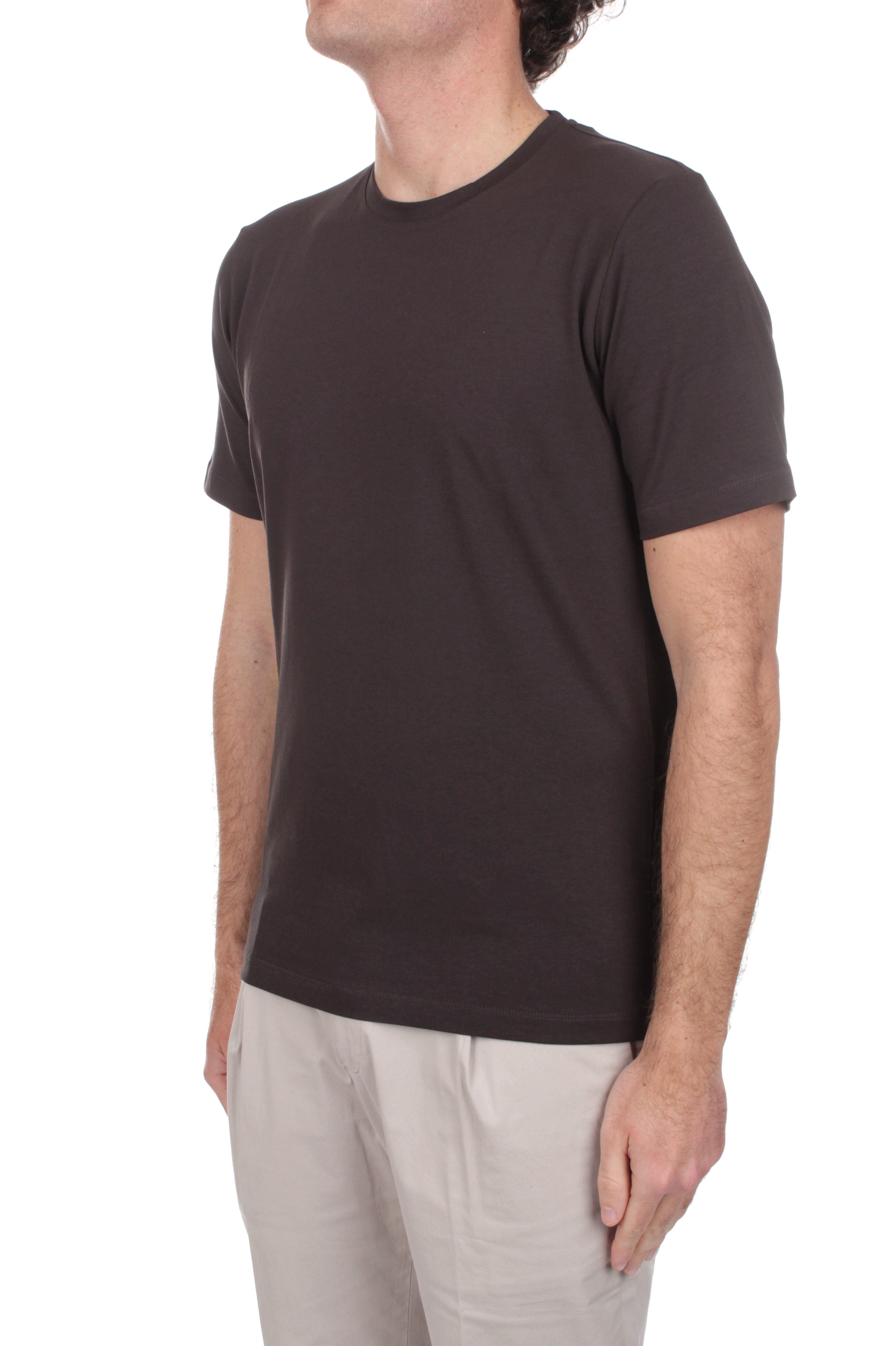 T-SHIRT Marrone Marotta