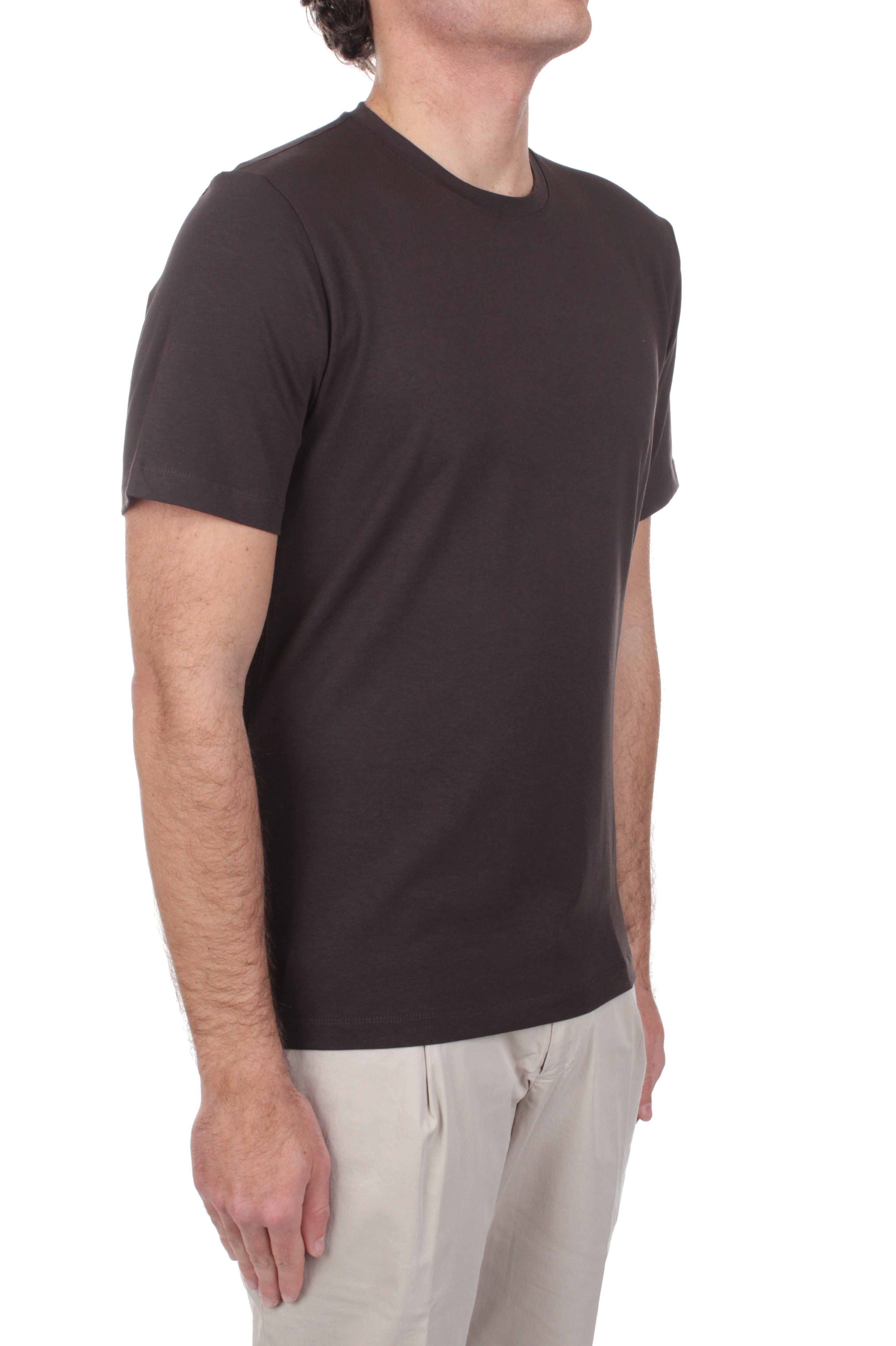 T-SHIRT Marrone Marotta