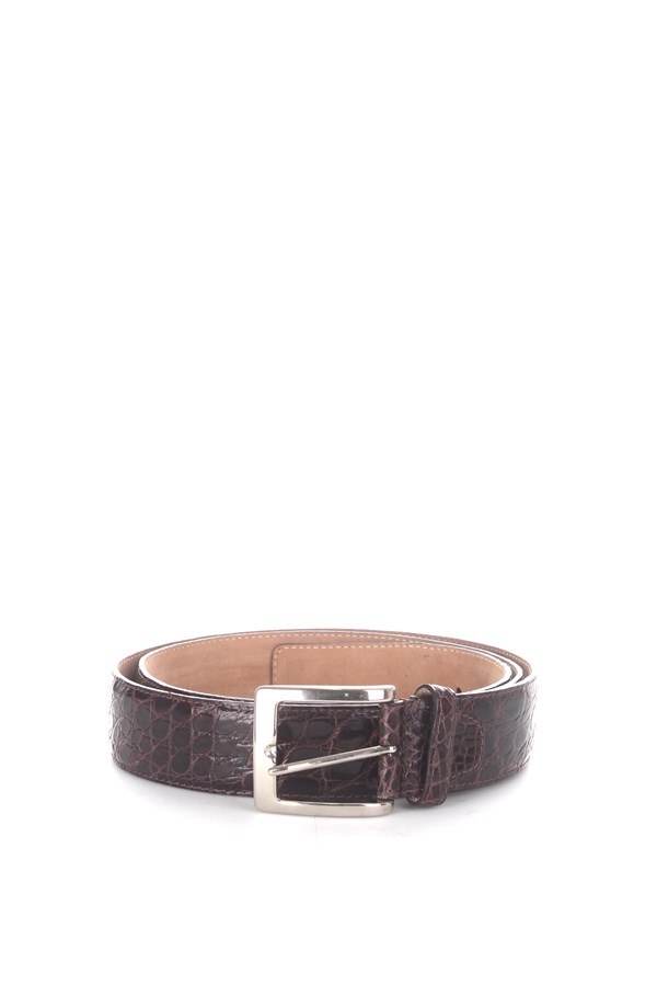 Carttime Casual belts Brown